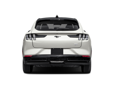 2021 Ford Mustang Mach-E California Route 1